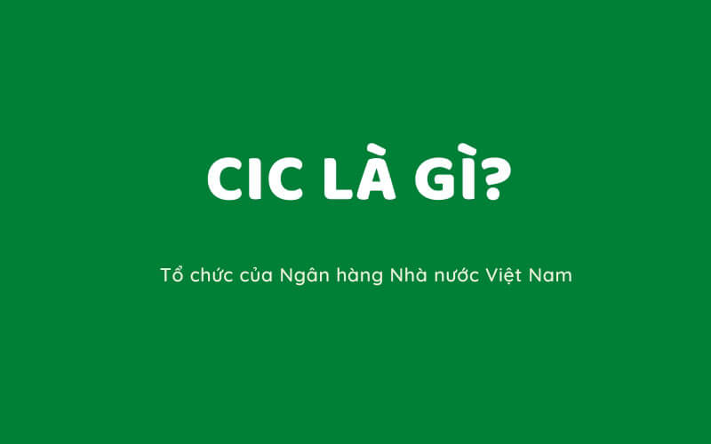 Đã đến lúc bạn cần biết CIC là gì?